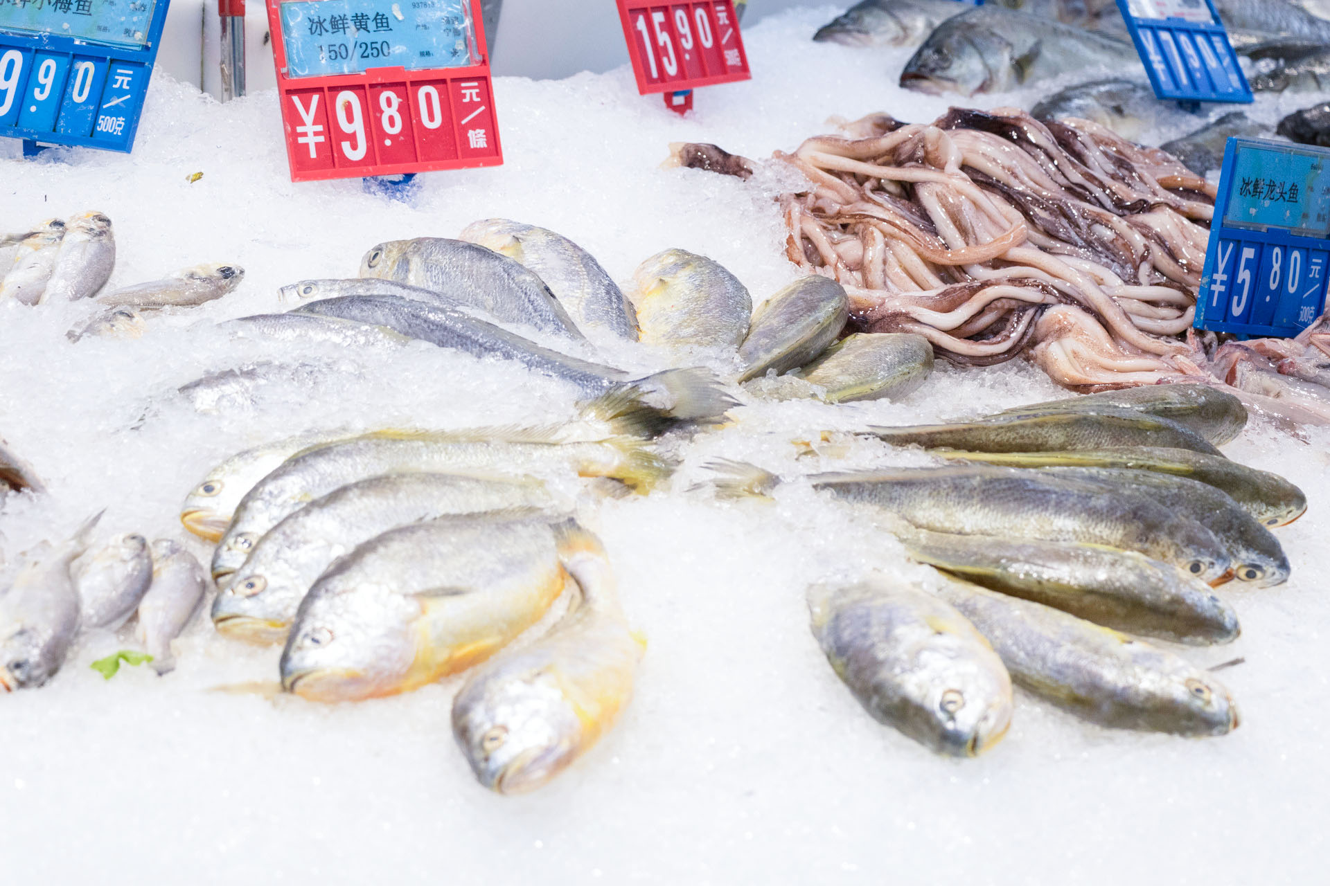 理性看待網(wǎng)紅趕海，注意水產(chǎn)品安全問(wèn)題！